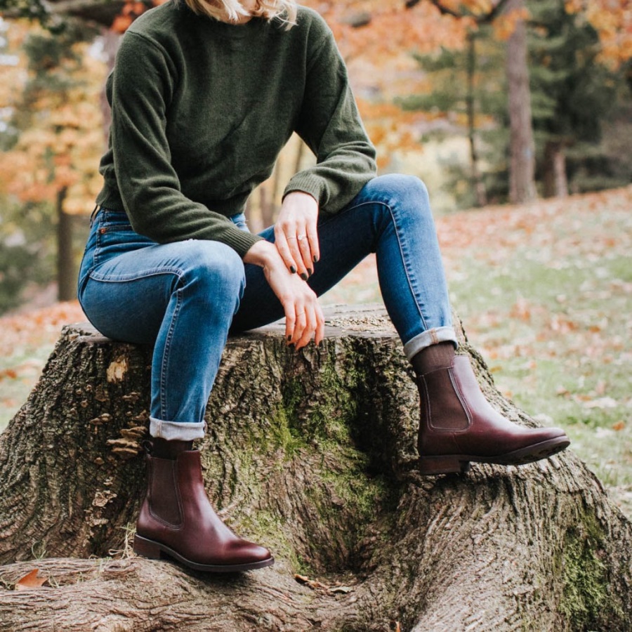 ダッチェス・チューズデイ・ブラウン