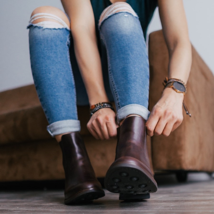 ダッチェス・チューズデイ・ブラウン