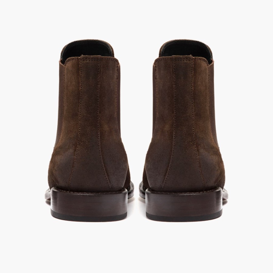 フライデーダークブラウンキャバリア