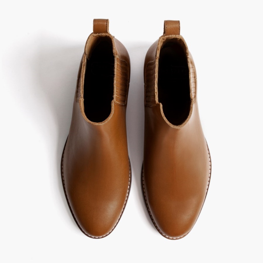 ナツメグサタデードリーマー