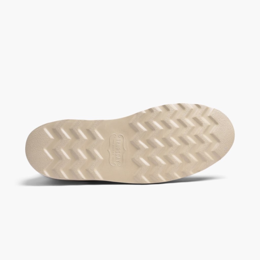 小石外交官火曜日