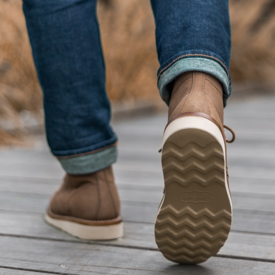 小石外交官火曜日