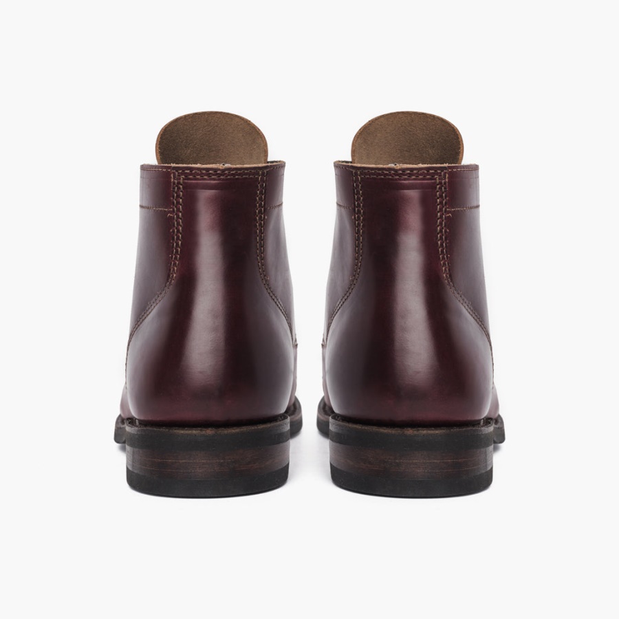 サンデーカラー8ヴァンガード